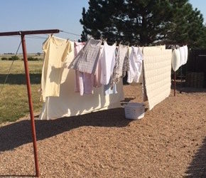 My clothesline – my sanctuary