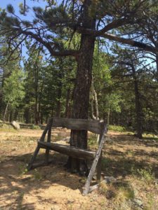 Log bench